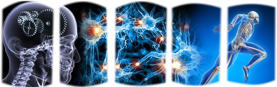 Biología Molecular